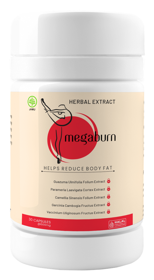 Megaburn